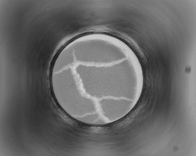 X0000102841176200809151057