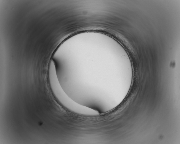 X0000102841177200809151057