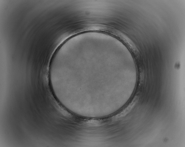 X0000102841178200809151057