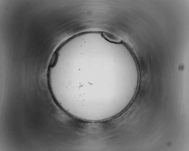 X0000102841181200809151057