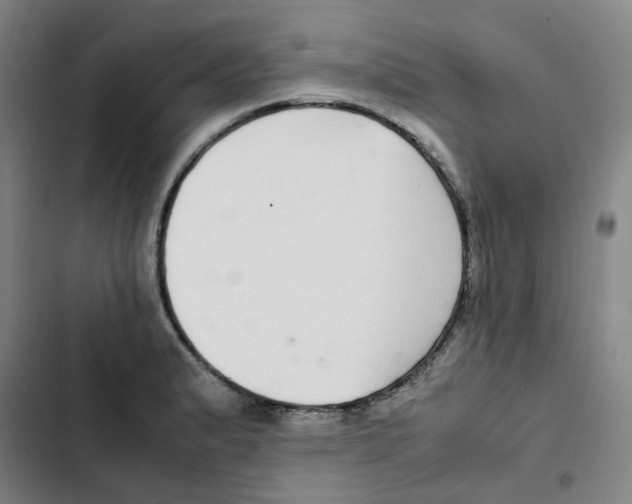 X0000102841183200809151056