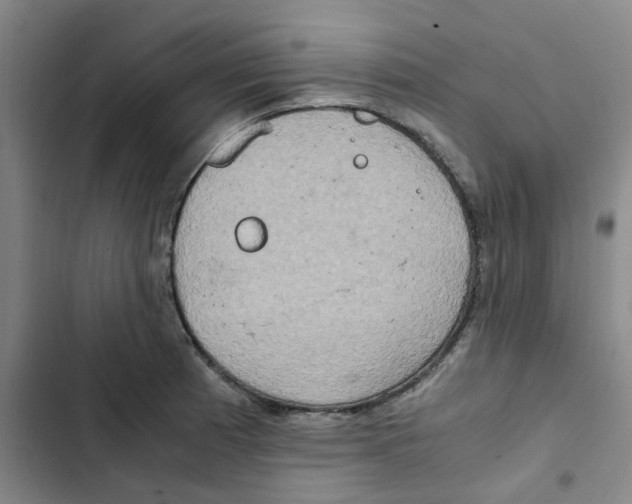 X0000102841185200809151056