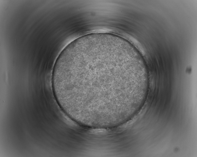 X0000102841186200809151056