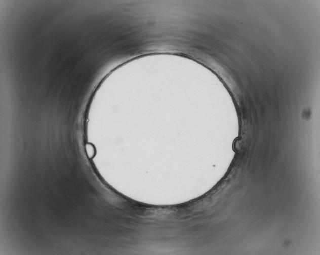 X0000102841187200809151056