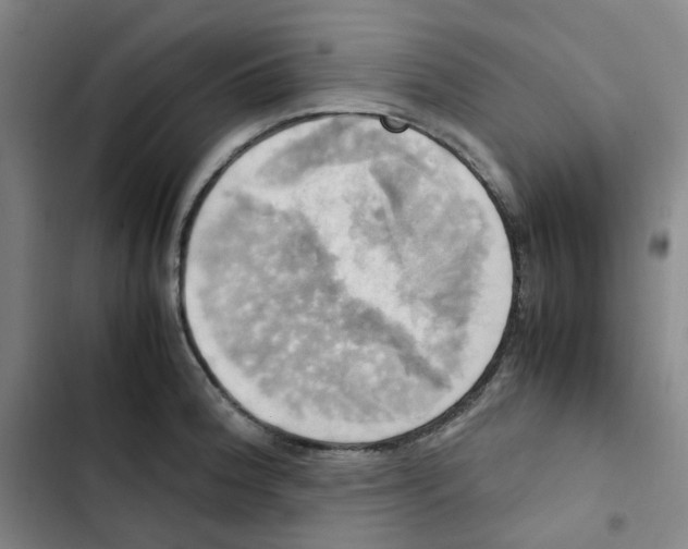 X0000102841188200809151056