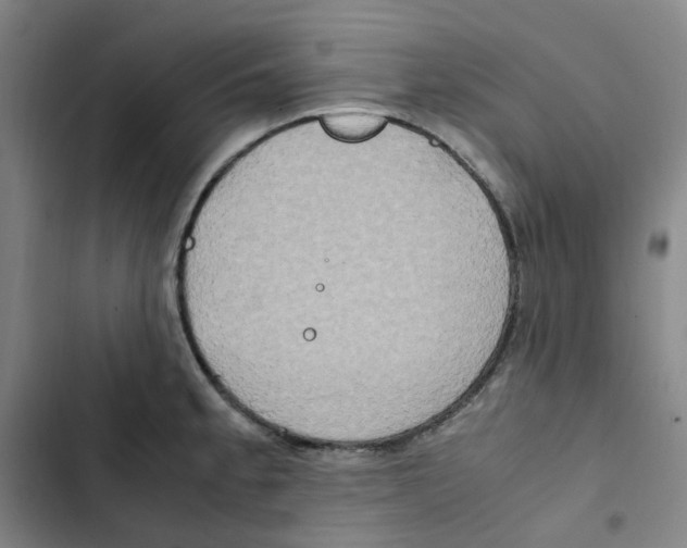 X0000102841189200809151056