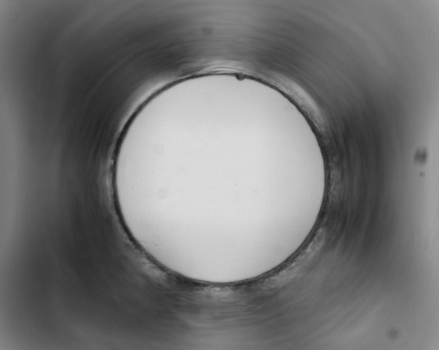 X0000102841190200809151056