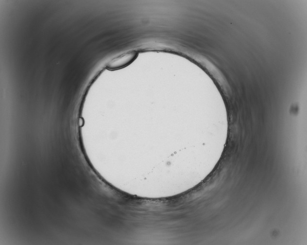 X0000102841191200809151056