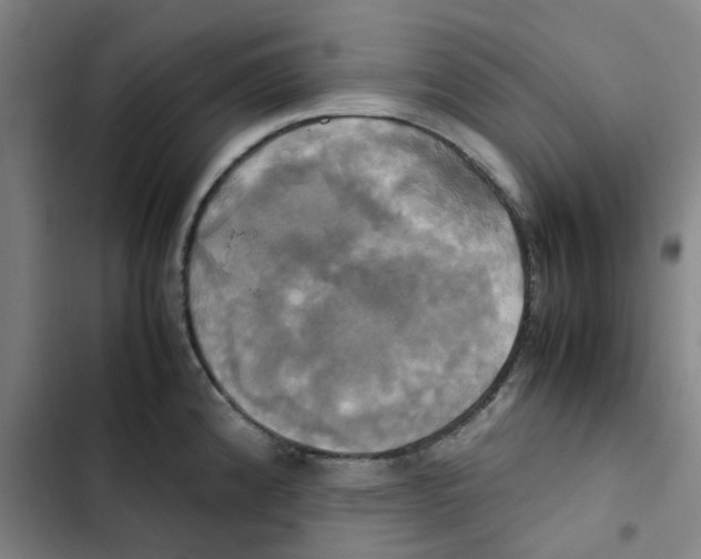 X0000102841192200809151056