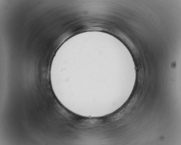 X0000102841193200809151056