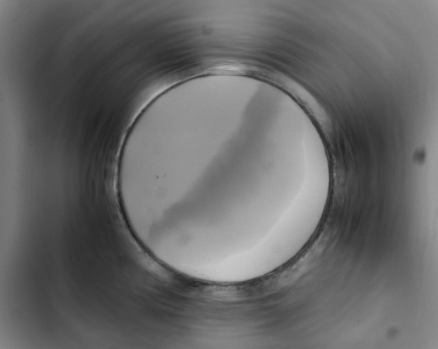 X0000102841194200809151056