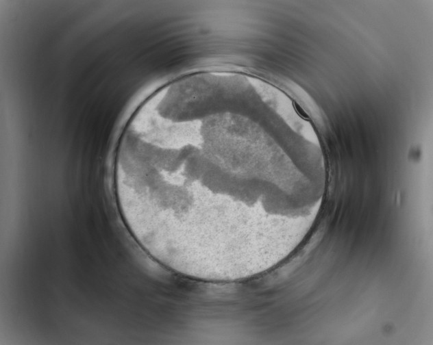 X0000102841196200809151056