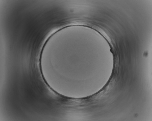 X0000102841197200809151056