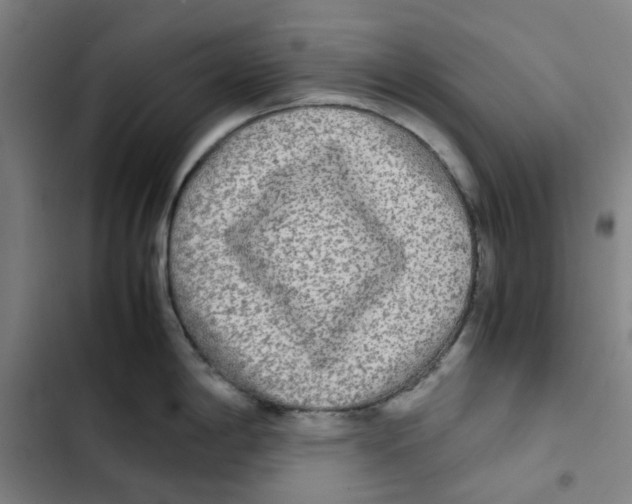 X0000102841198200809151056