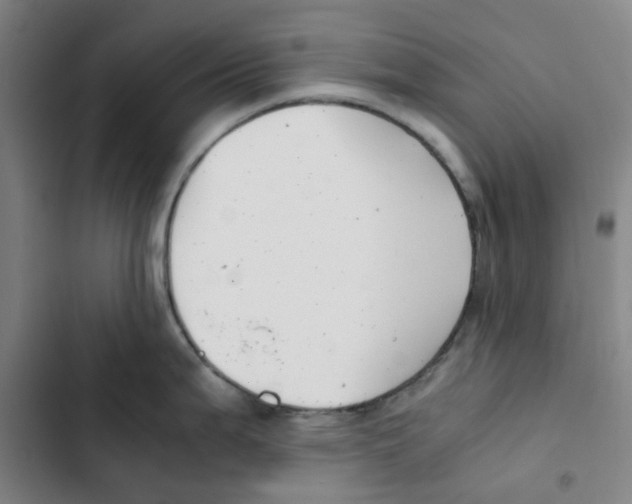 X0000102841199200809151056