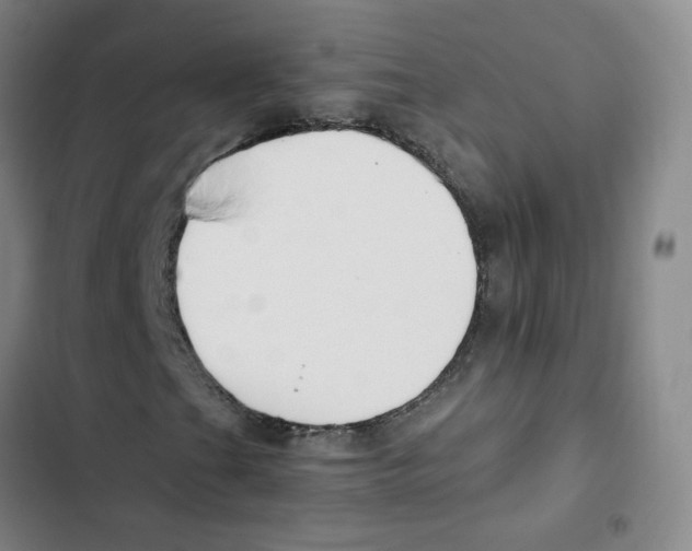 X0000102841201200809151055