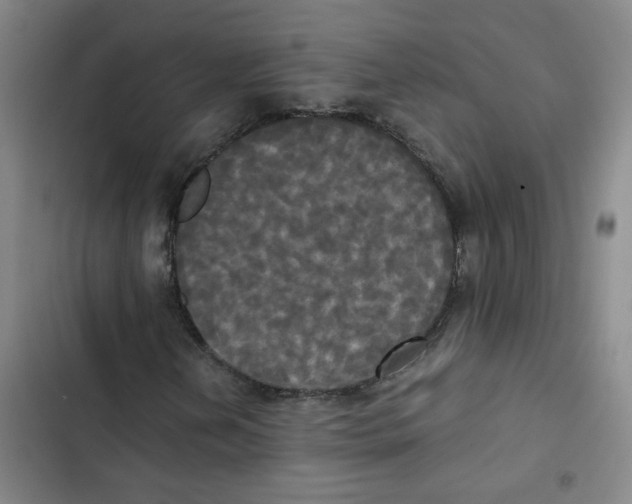 X0000102841202200809151055