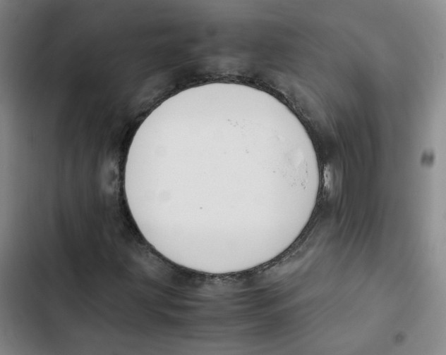 X0000102841203200809151055