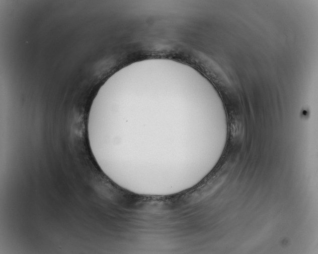 X0000102841204200809151055