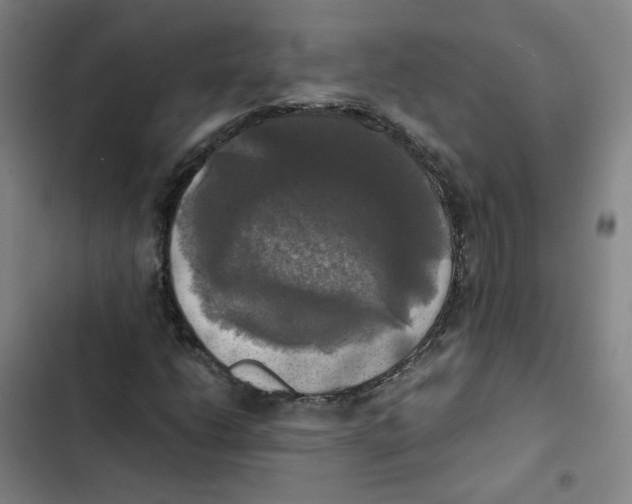 X0000102841206200809151056