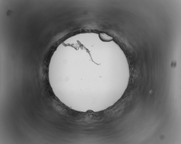 X0000102841207200809151056