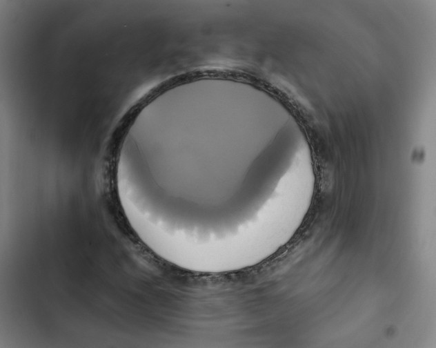 X0000102841208200809151056