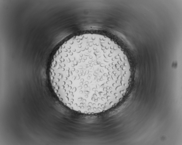 X0000102841209200809151056