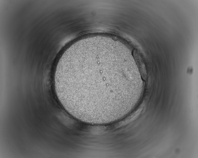 X0000102841210200809151056