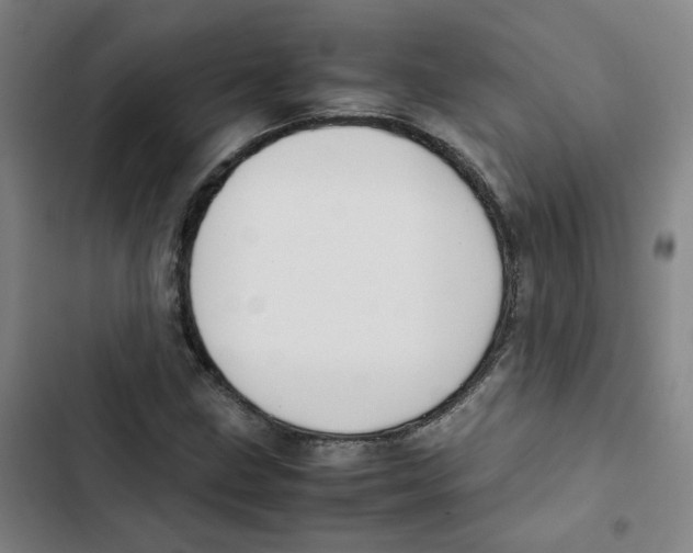 X0000102841211200809151056