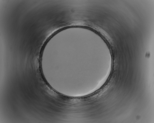 X0000102841212200809151056