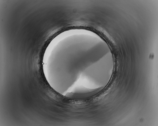 X0000102841213200809151056