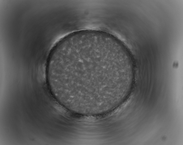 X0000102841214200809151056