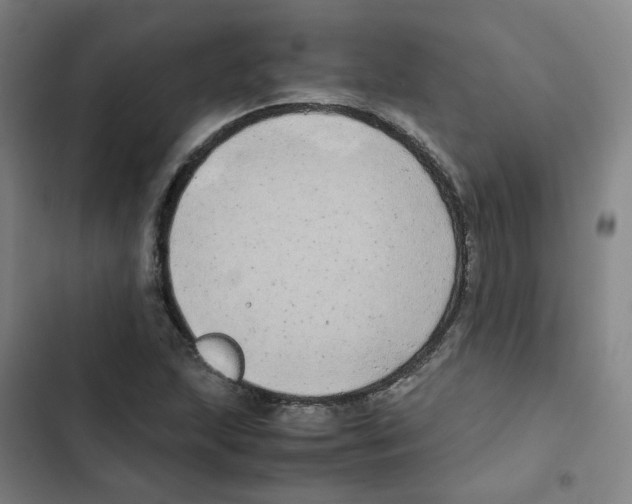 X0000102841215200809151056