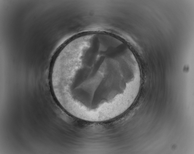 X0000102841216200809151056