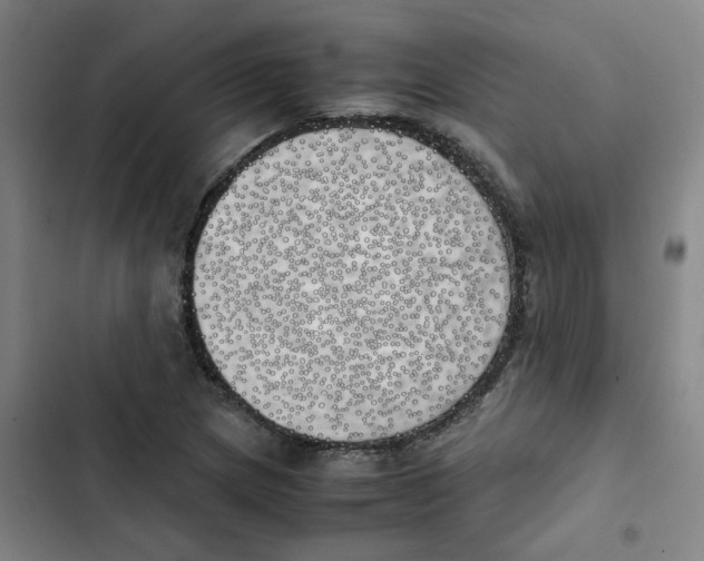 X0000102841217200809151056