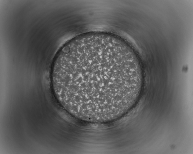 X0000102841218200809151056