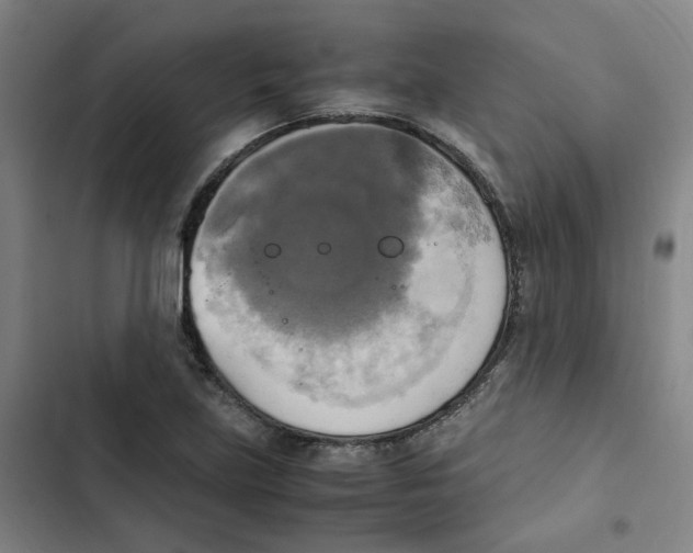 X0000102841219200809151056