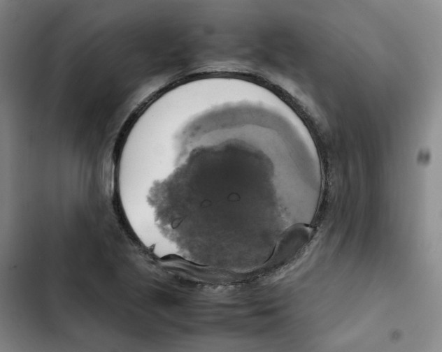 X0000102841221200809151056