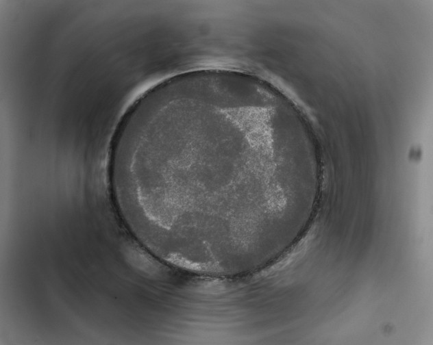 X0000102841222200809151056