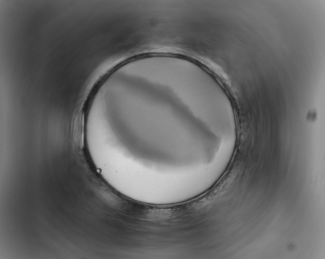 X0000102841223200809151056