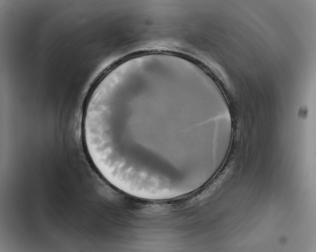 X0000102841224200809151056