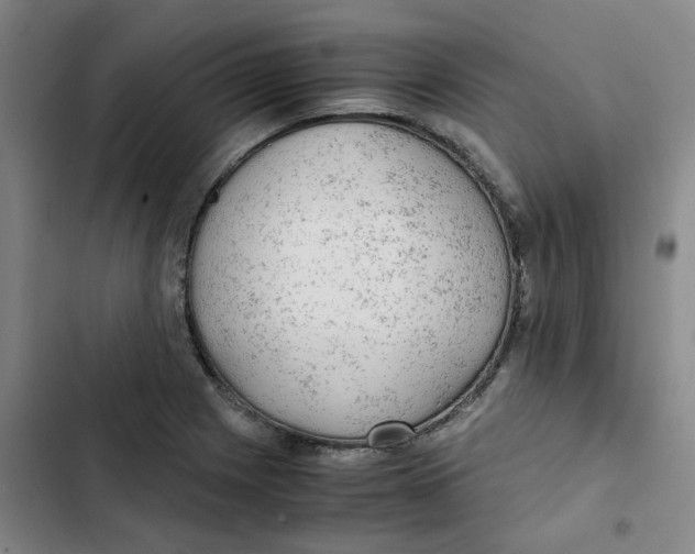 X0000102841225200809151056