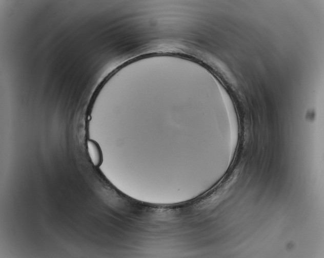 X0000102841226200809151056