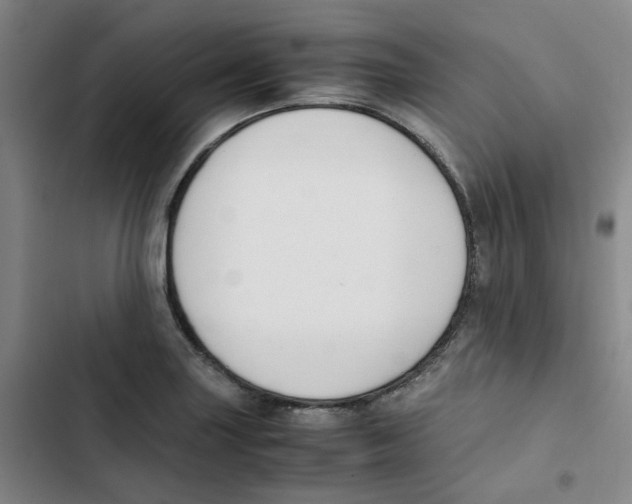 X0000102841227200809151056