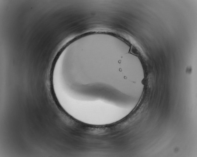 X0000102841229200809151056