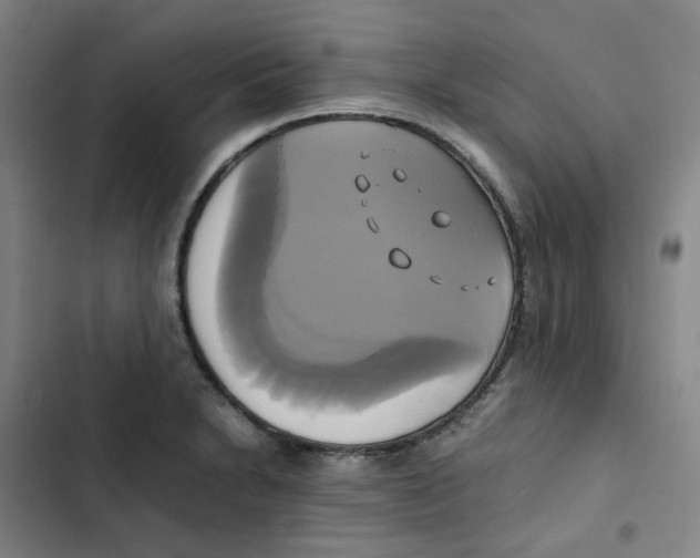 X0000102841230200809151056