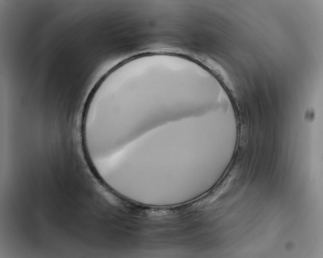 X0000102841231200809151056