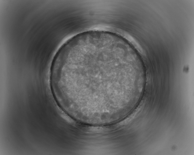 X0000102841232200809151056