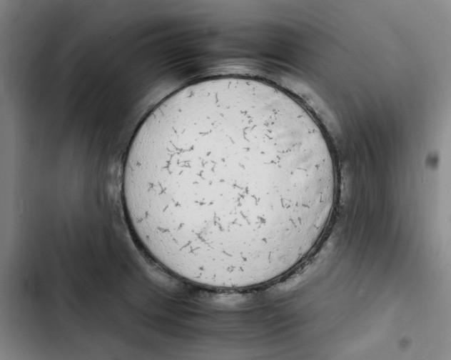 X0000102841233200809151056