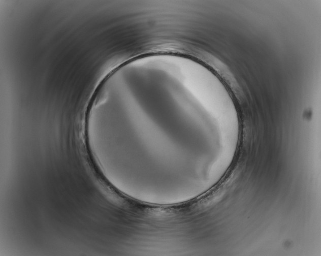 X0000102841234200809151056